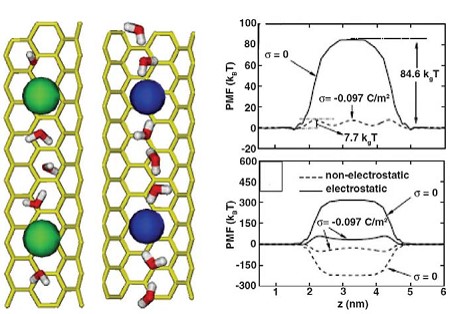 Slippery Nanopipes: Nanofluidics in Carbon Nanotube  