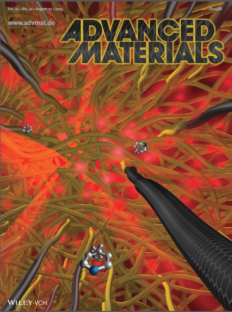 Enlarged view: 2013 Advanced Materials